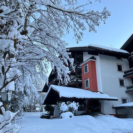 B&B In Seefeld Seefeld in Tirol Exteriér fotografie