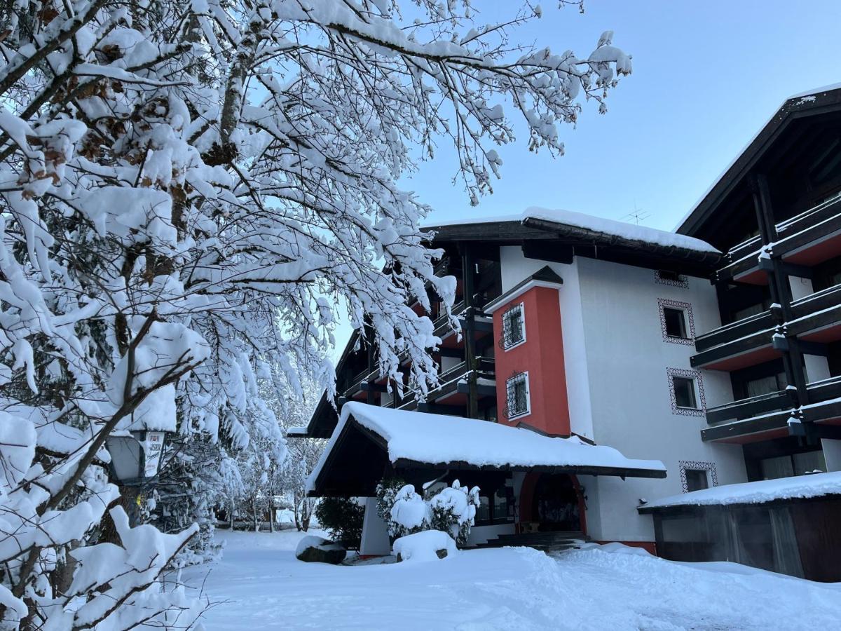 B&B In Seefeld Seefeld in Tirol Exteriér fotografie